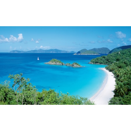 Biggies Scenes Window Well Scenes-Island Cove, 80 in wide x 40 in high BG-WW-ICV-80